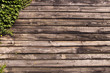 Mur en bois et lierre