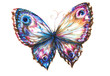 Illustration: Blue butterfly hand painted. Blue butterfly hand painted.