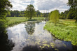 Sky reflection in the river with forest