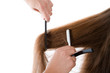 Hairdresser cutting the hair, isolated on white