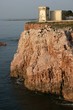 Cala Rossa di Terrasini