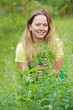 Woman  at cannabis plant