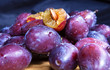 Zwetschgen-Prunus domestica