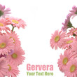 Pink Gerbera Frame