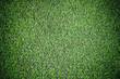 Football grass