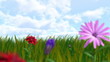 growing flowers and grass with alfa channel growing flowers and grass with alfa channel