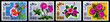A stamps printed in Dubai showing drawings of of flowers A stamps printed in Dubai showing drawings of of flowers