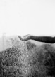 hand in water