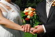 sich die hand geben sich die hand geben