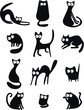 Black cat silhouettes
