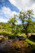 Beautiful landscape in Yorkshire Dales National Park in England