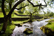 Beautiful landscape in Yorkshire Dales National Park in England
