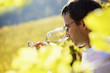 Wine grower tasting wine. Wine grower tasting wine.