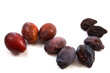 prune_03