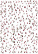 fondo note bianco