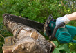 Chainsaw on log of birch Chainsaw on log of birch