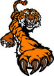 Tiger Mascot Body Prowling Graphic