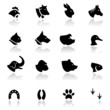 Icons set Animals.