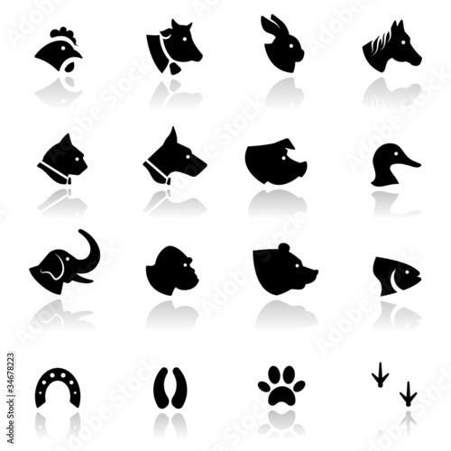 Vektor: Icons set Animals. Icons set Animals.