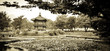 Chinese Style Pagoda