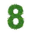 leaves number 8