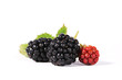 Brombeeren