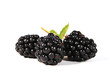 Brombeeren