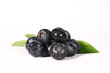 Heidelbeeren