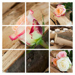 Collage Rosen