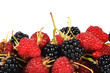 Beeren