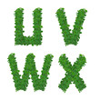 leaf alphabet U-X