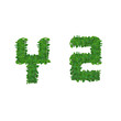 leaf alphabet Y-Z