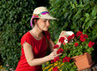 Young gardener woman watering plants