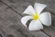Tropical flowers frangipani (plumeria) on wood
