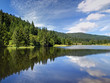 MIROIR DE LA NATURE