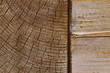 Foto: Holz Holz