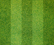 Artificial grass background
