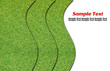 Green grass isolated with curve white line