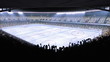 Hockey stadium. Sports event.