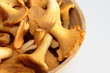 pfifferlinge