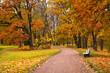 autumn in park autumn in park
