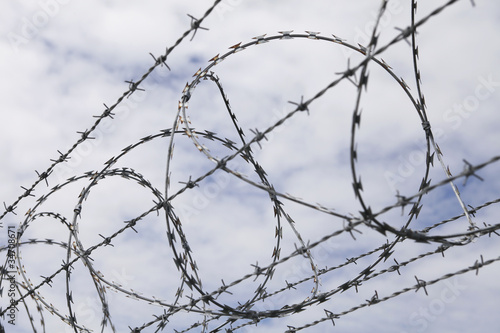 Photo: barbed wire barbed wire