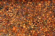 Close up of Bamboo texture