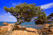 italie,sardaigne,ogliastra : baia di gairo italie,sardaigne,ogliastra : baia di gairo
