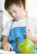 Kid at kitchen with recipe book