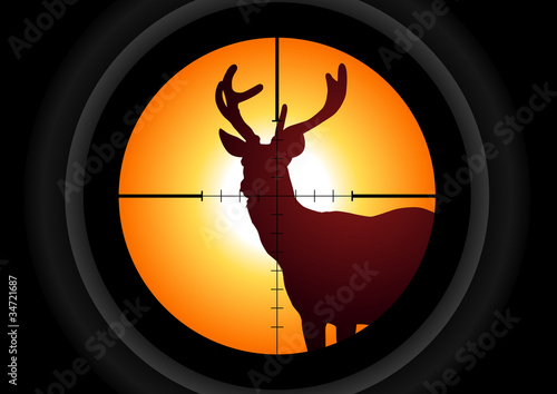 Vector: Vector illustration of a rifle lens aiming a deer Vector illustration of a rifle lens aiming a deer