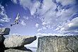 Foto: Rock climber on the summit. Rock climber on the summit.