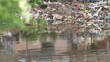 Pollution along the River