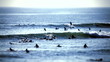 surfer group 02 - tilt/shift lens