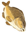 Vector illustration carp isolated on white background Vector illustration carp isolated on white background